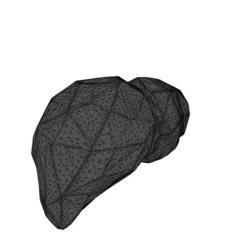 Low Poly Human Liver 3D Model Low-poly 3D model_1