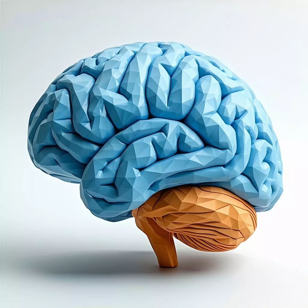 Low Poly Human Brain 3D Model Low-poly 3D model_0