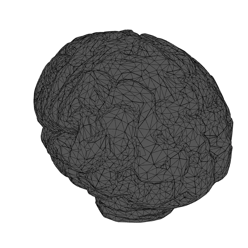 Low Poly Human Brain 3D Model Low-poly 3D model_9