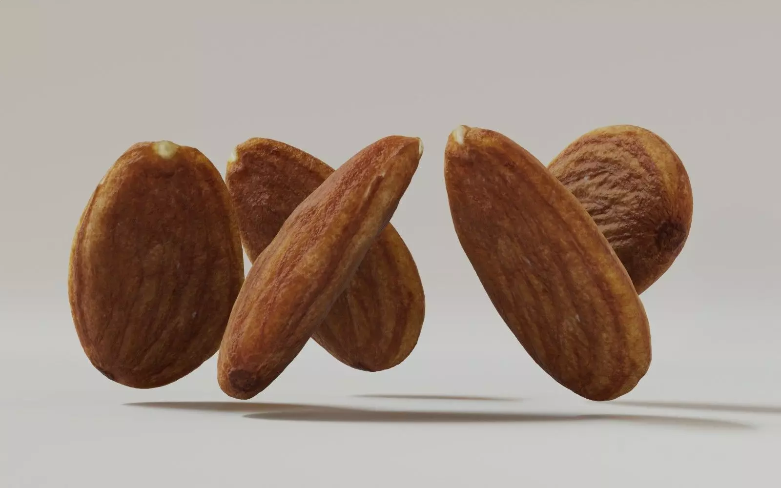 Almond 3D Model 3D model_1