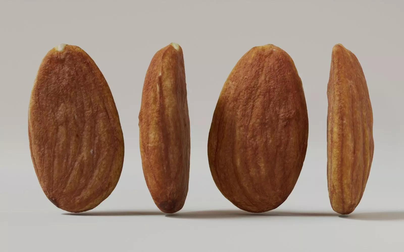 Almond 3D Model 3D model_0