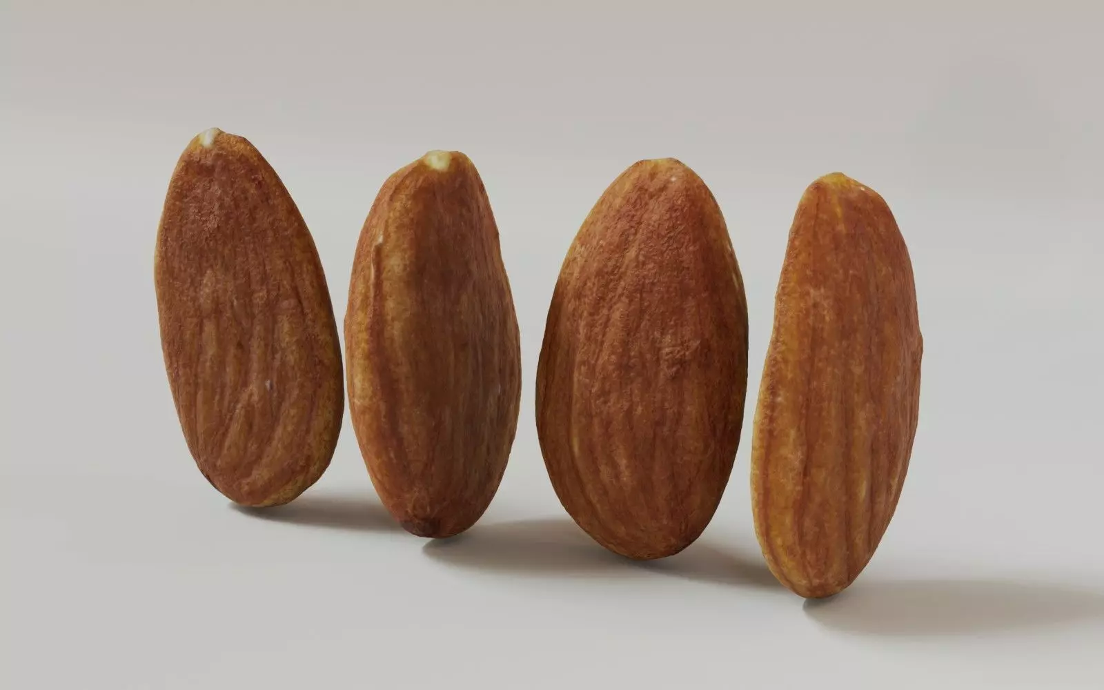 Almond 3D Model 3D model_7