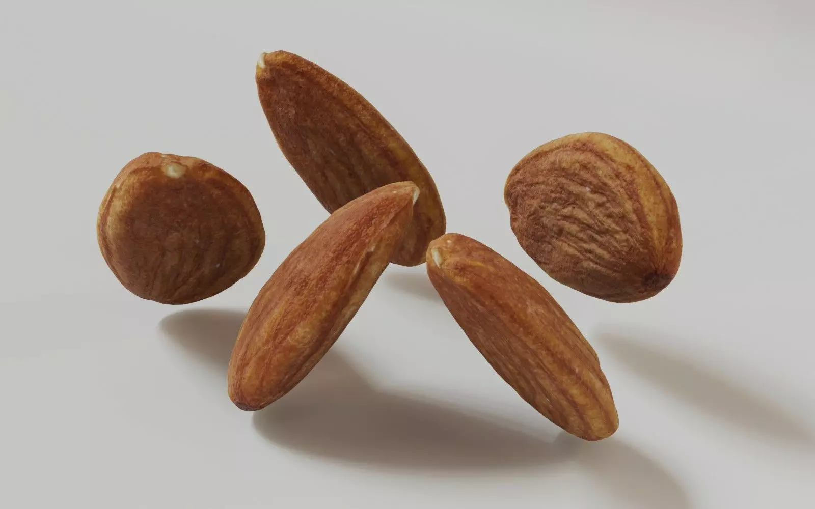 Almond 3D Model 3D model_10
