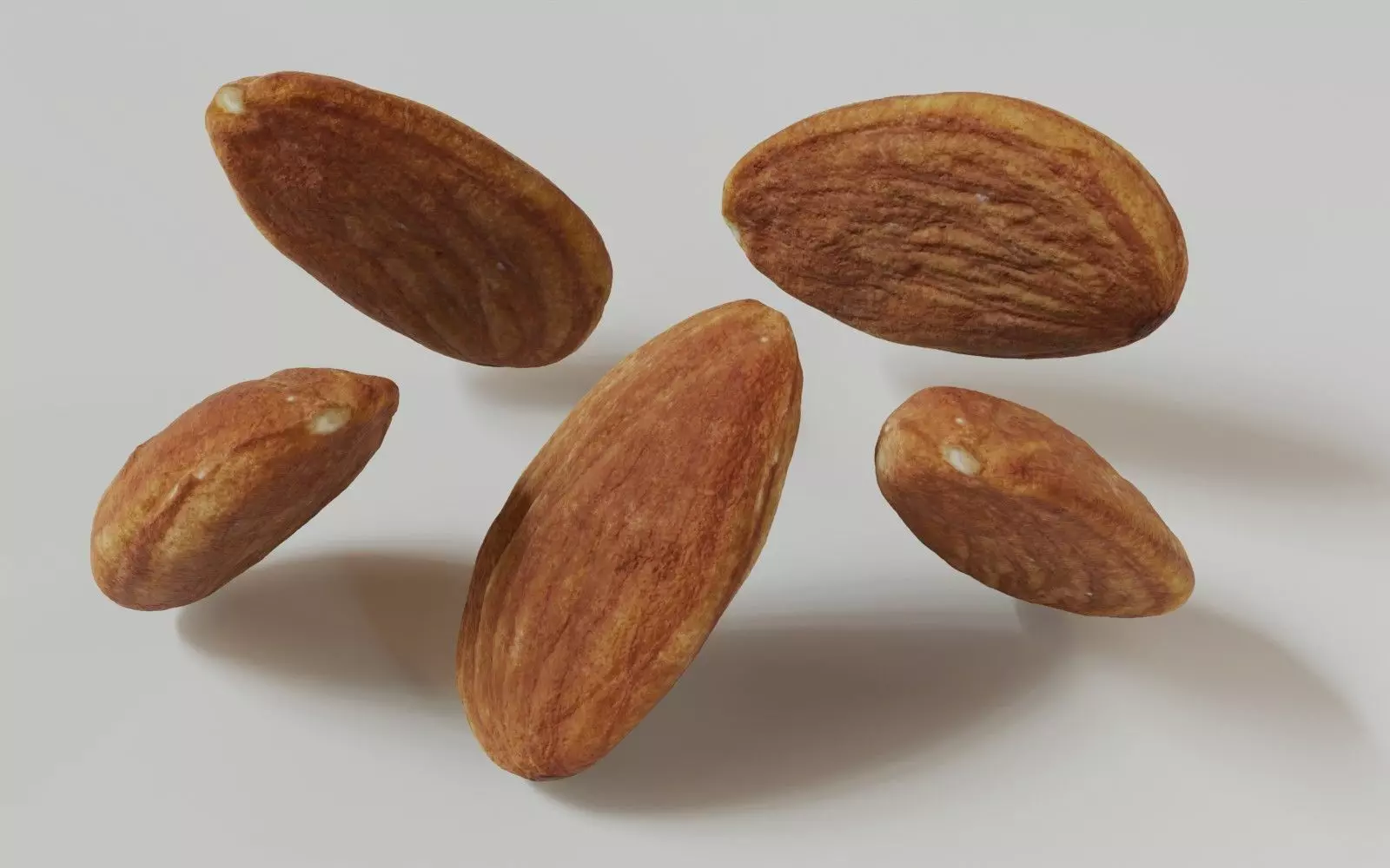 Almond 3D Model 3D model_6