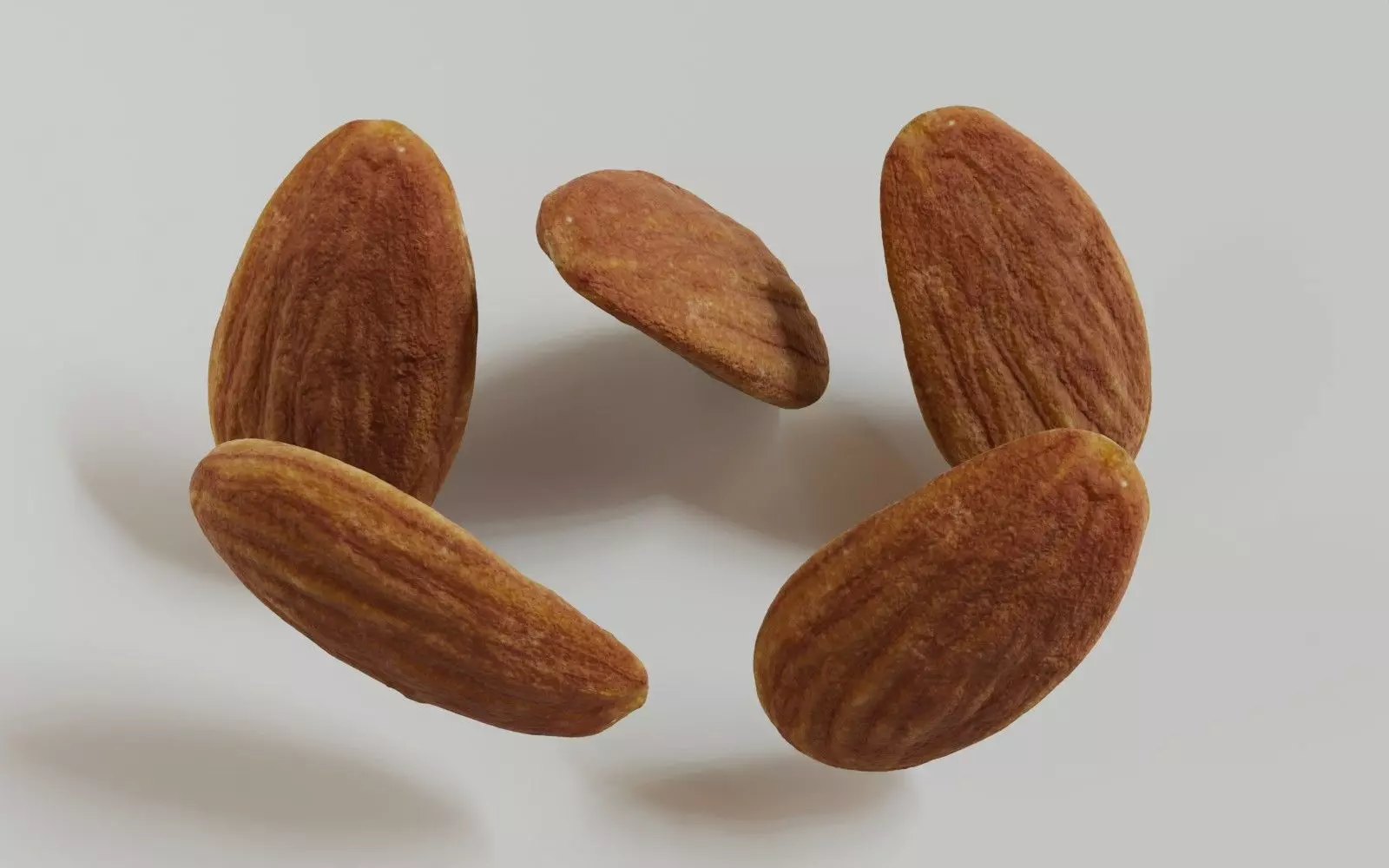 Almond 3D Model 3D model_9