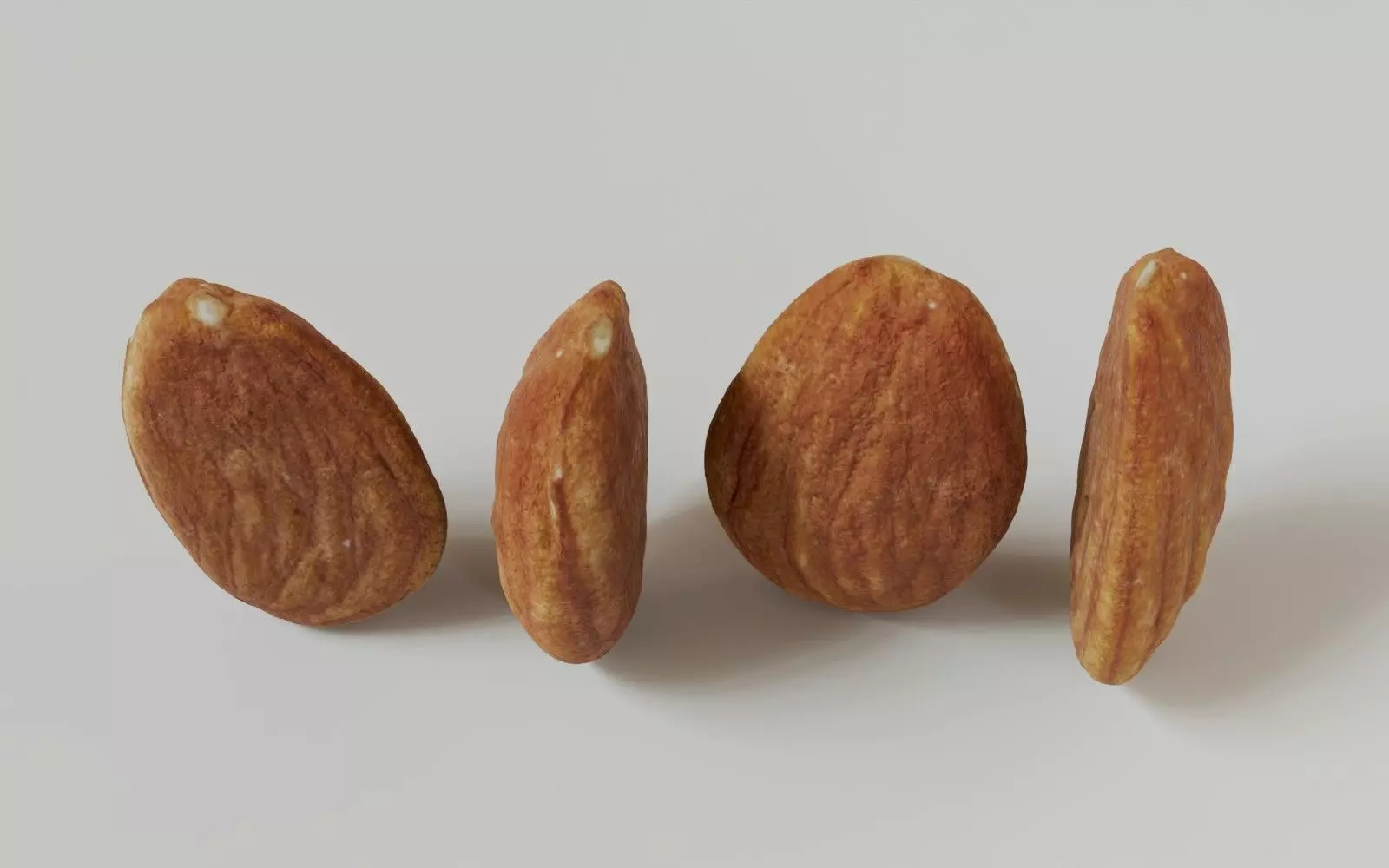 Almond 3D Model 3D model_2