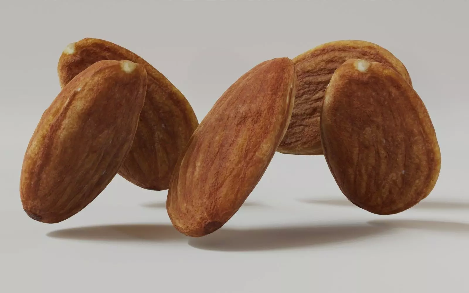 Almond 3D Model 3D model_12