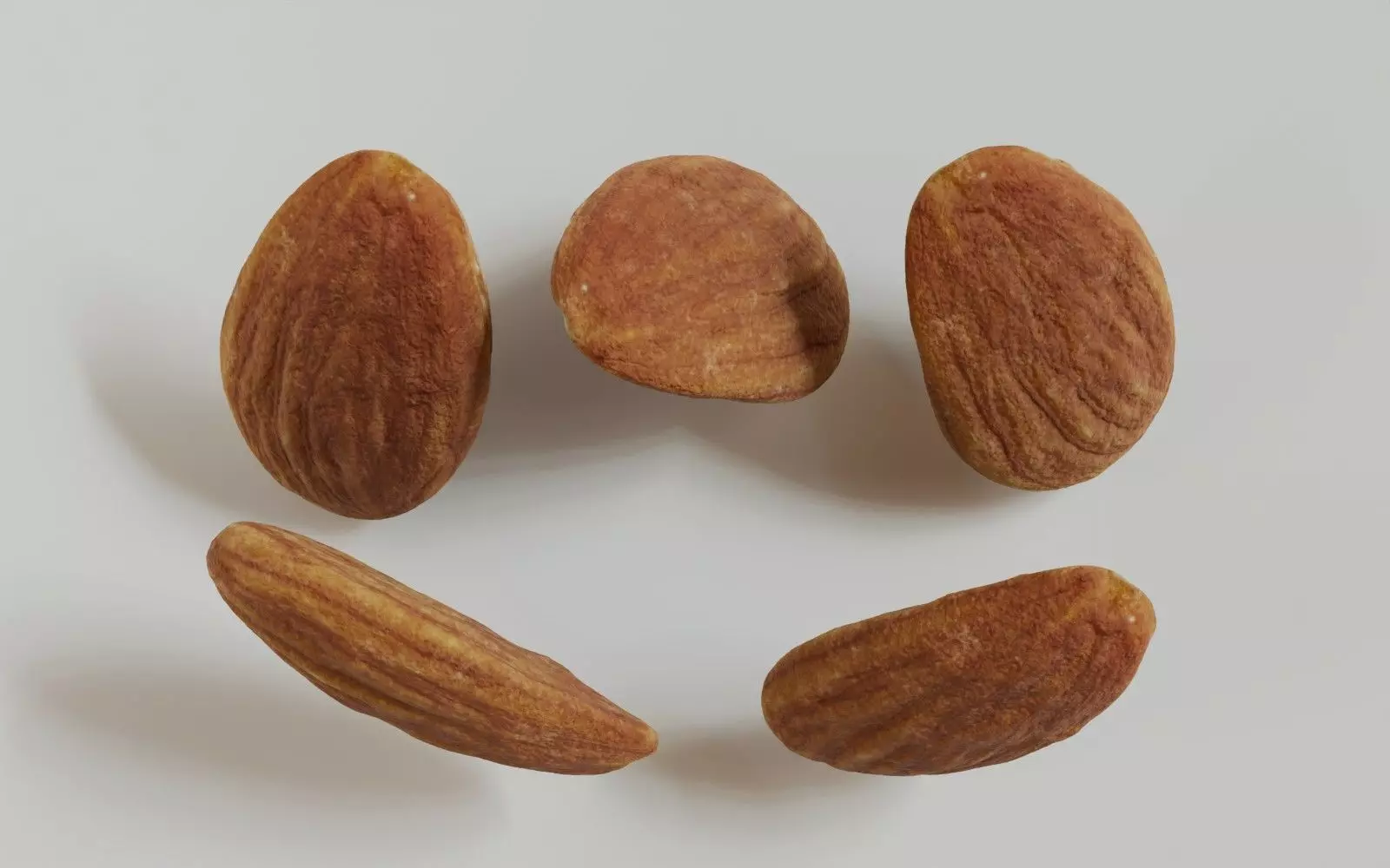 Almond 3D Model 3D model_13
