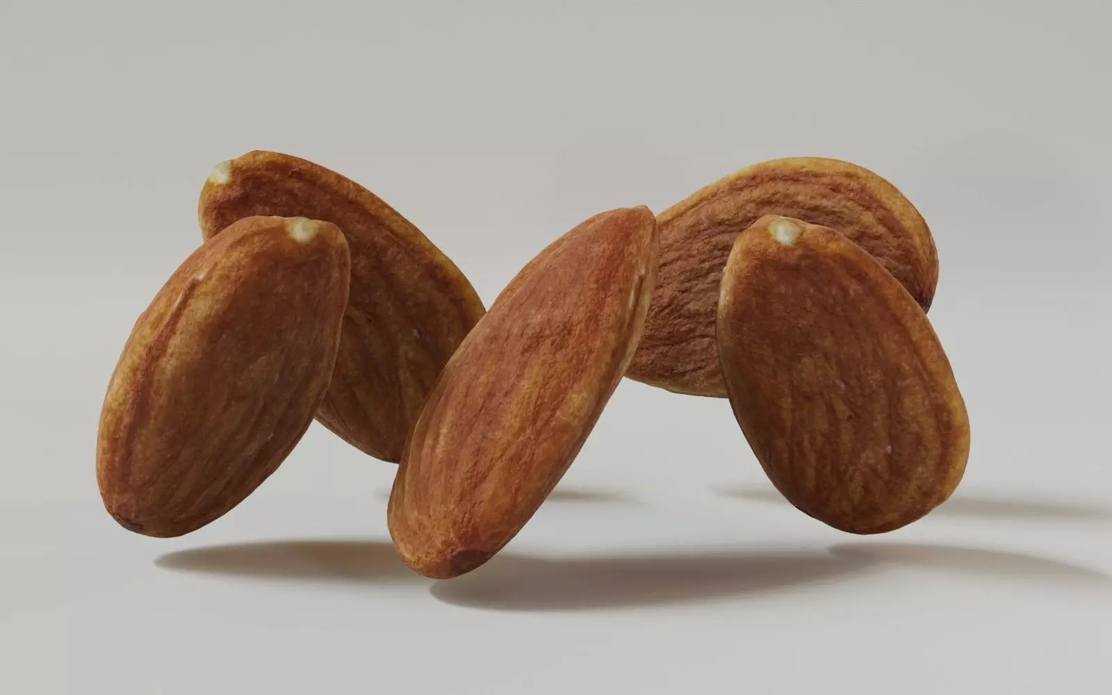 Almond 3D Model 3D model_3