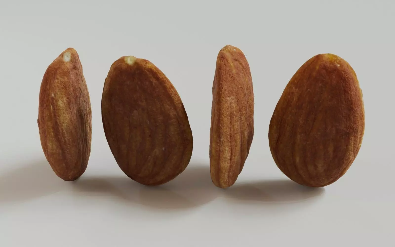 Almond 3D Model 3D model_5