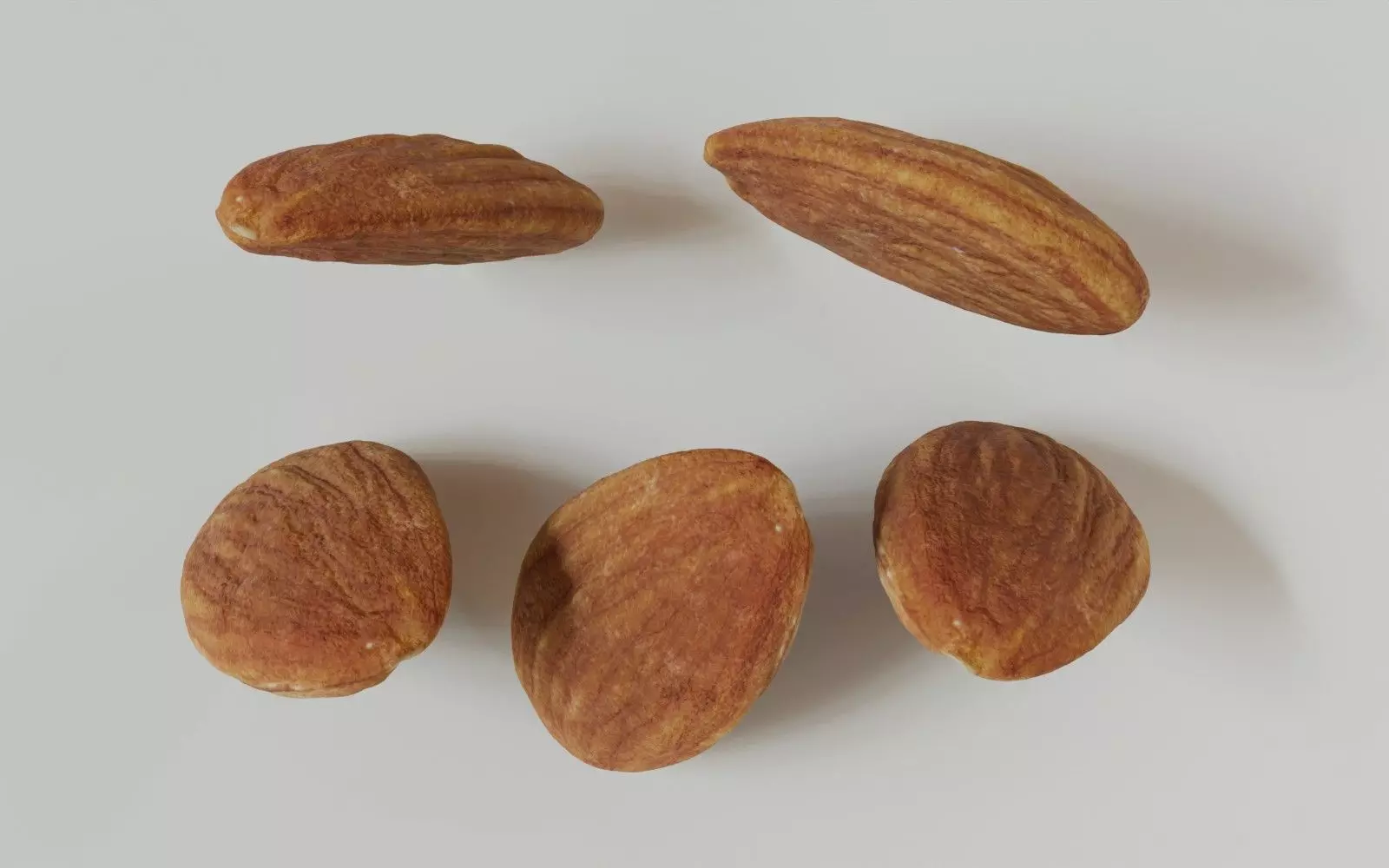 Almond 3D Model 3D model_8