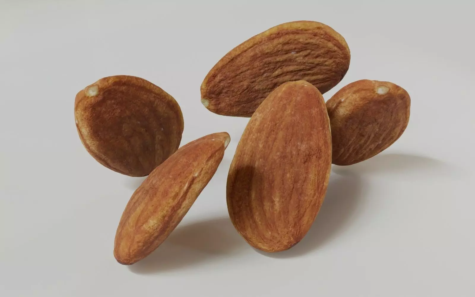 Almond 3D Model 3D model_11