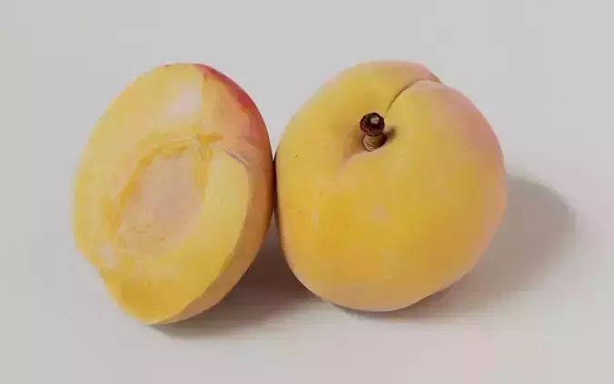 Apricot 3D Model 3D model 2