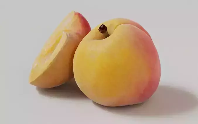 Apricot 3D Model 3D model 5