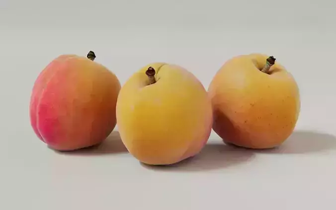 Apricot 3D Model 3D model 7