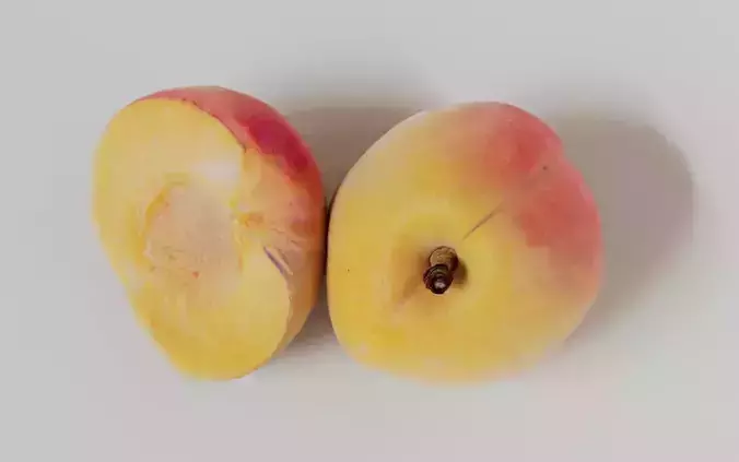 Apricot 3D Model 3D model 3