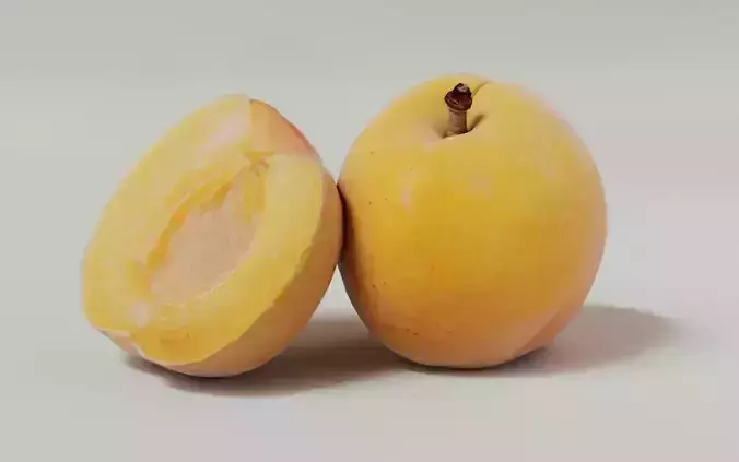 Apricot 3D Model 3D model 6