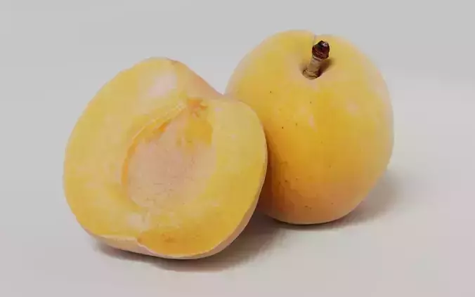 Apricot 3D Model 3D model 4