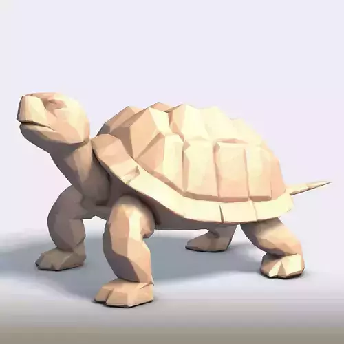 Turtle Low Poly