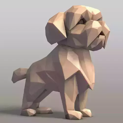 Lhasa Apso Dog Low Poly