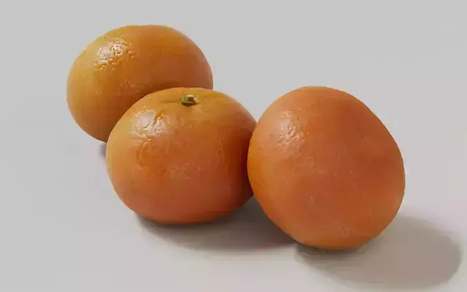 Tangerine 3D Model 3D model 5
