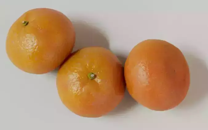 Tangerine 3D Model 3D model 4