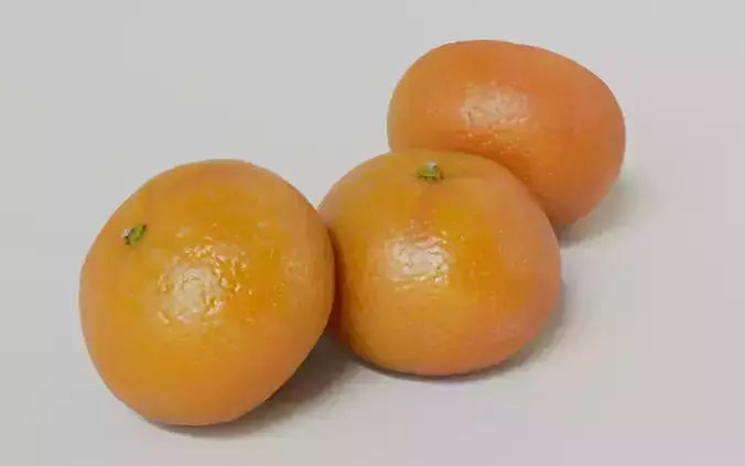Tangerine 3D Model 3D model 6