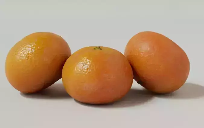 Tangerine 3D Model 3D model 2