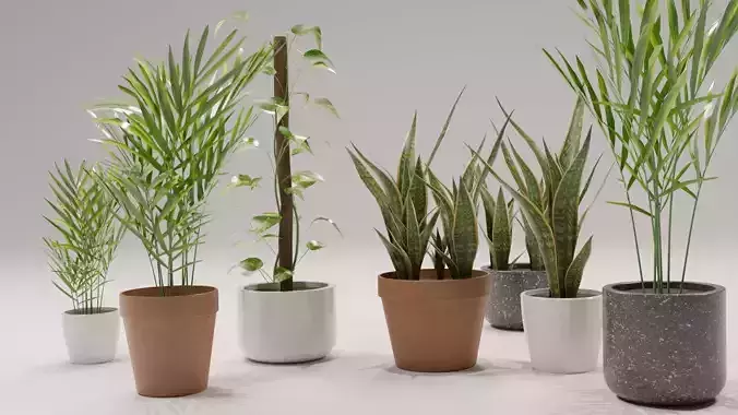 PBR Interior Plants Kit