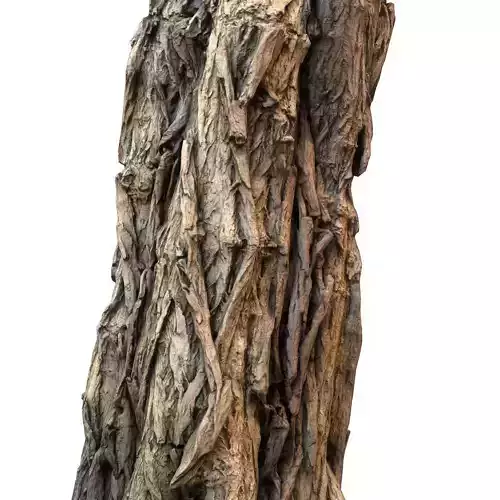 Realistic Detailed Tree Bark 3D model