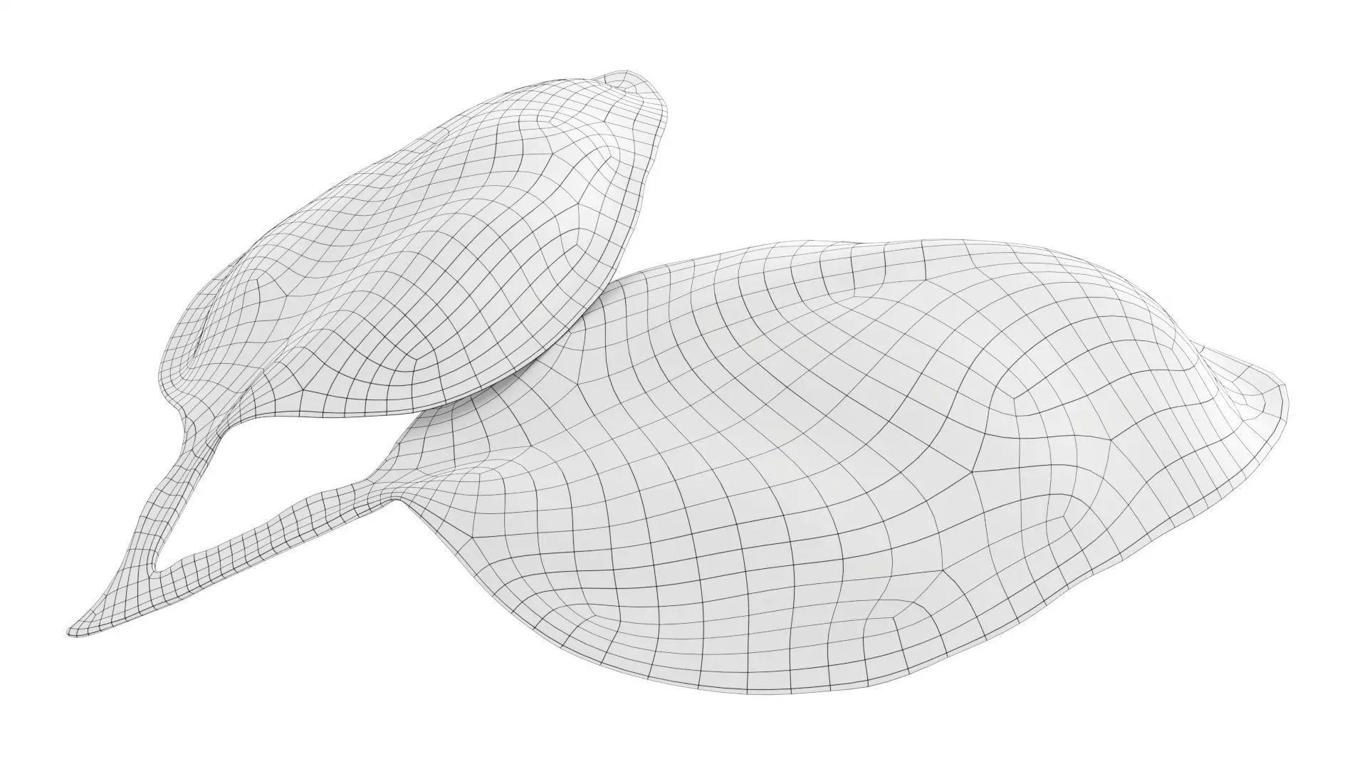 Basil leaves Low-poly 3D model_6