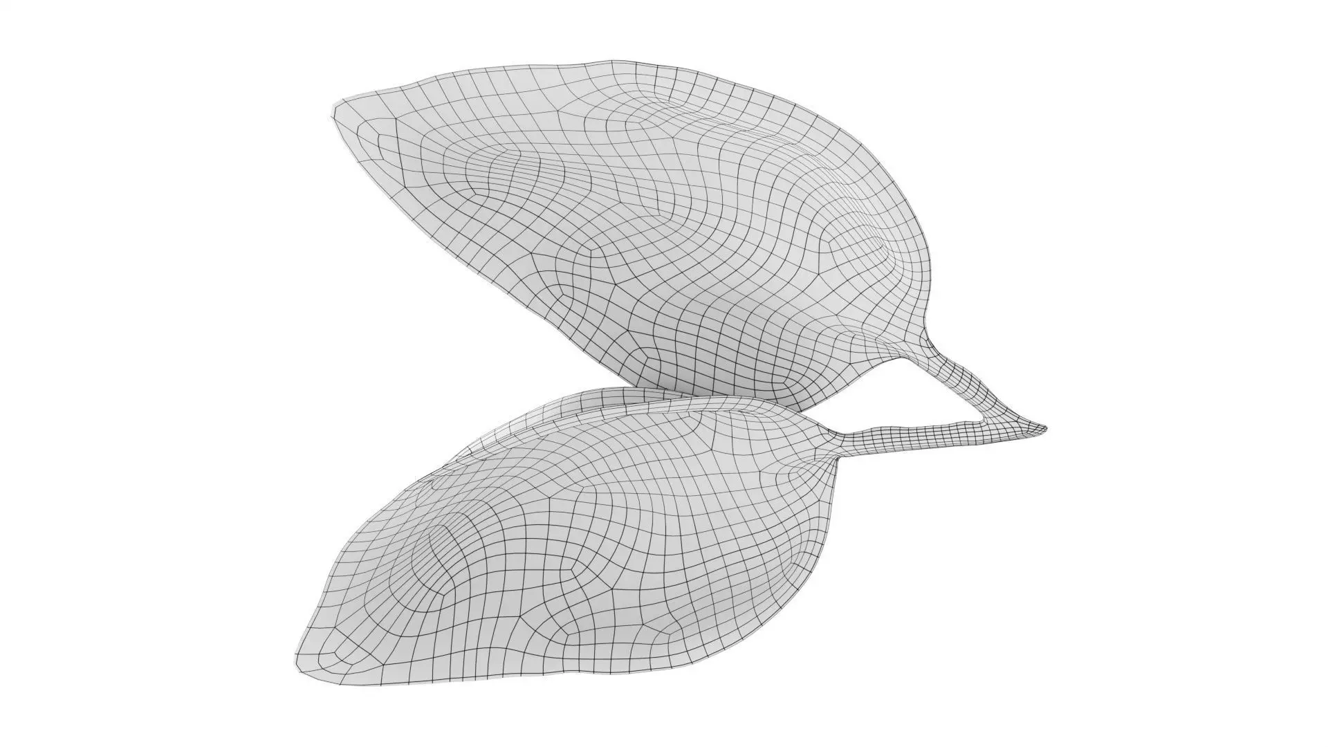 Basil leaves Low-poly 3D model_7