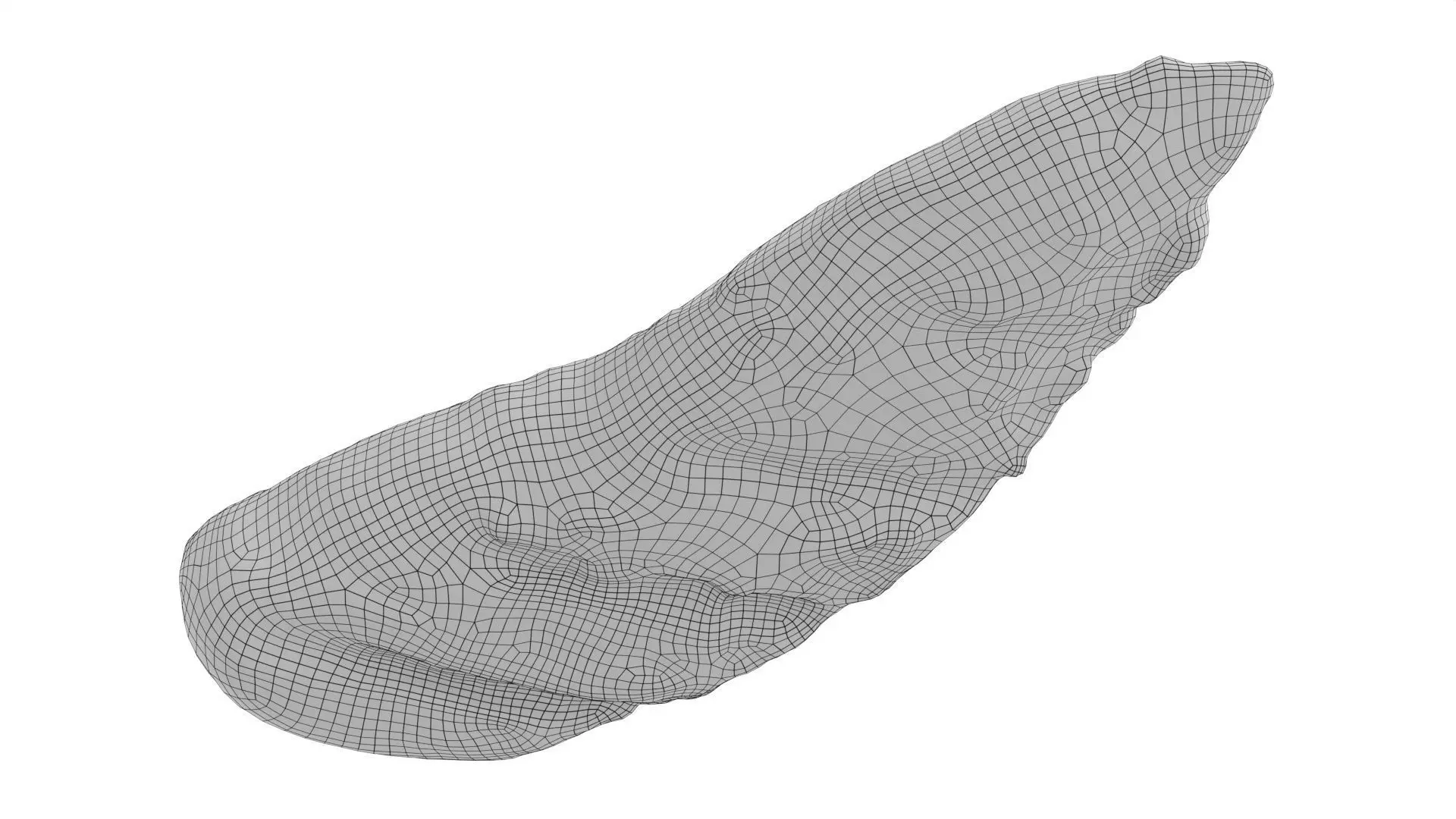 Chicken fillet roasted Low-poly 3D model_7