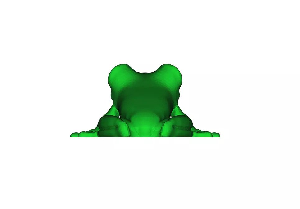 Treefrog  3D print model_4