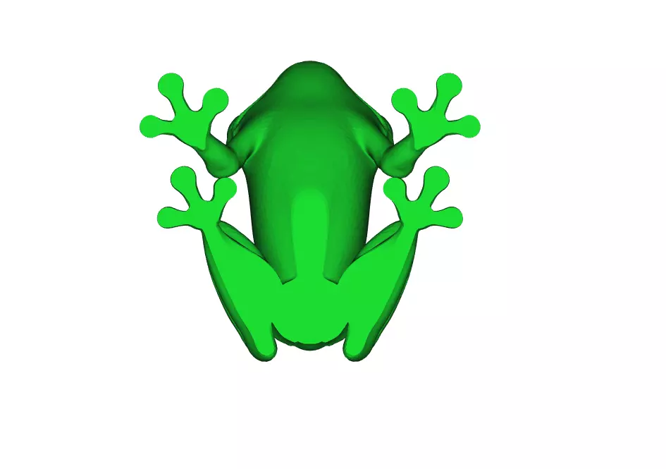 Treefrog  3D print model_3