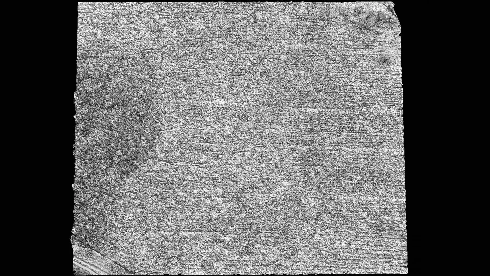 forest terrain bushes field patch pt2 PBR photogrammetry Low-poly 3D model_6