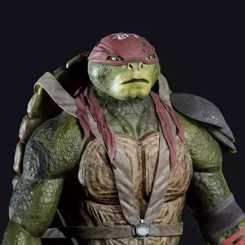 Raphael from Teenage Mutant Ninja Turtles