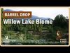 Willow Lake Biome Environment Low-poly 3D model_1