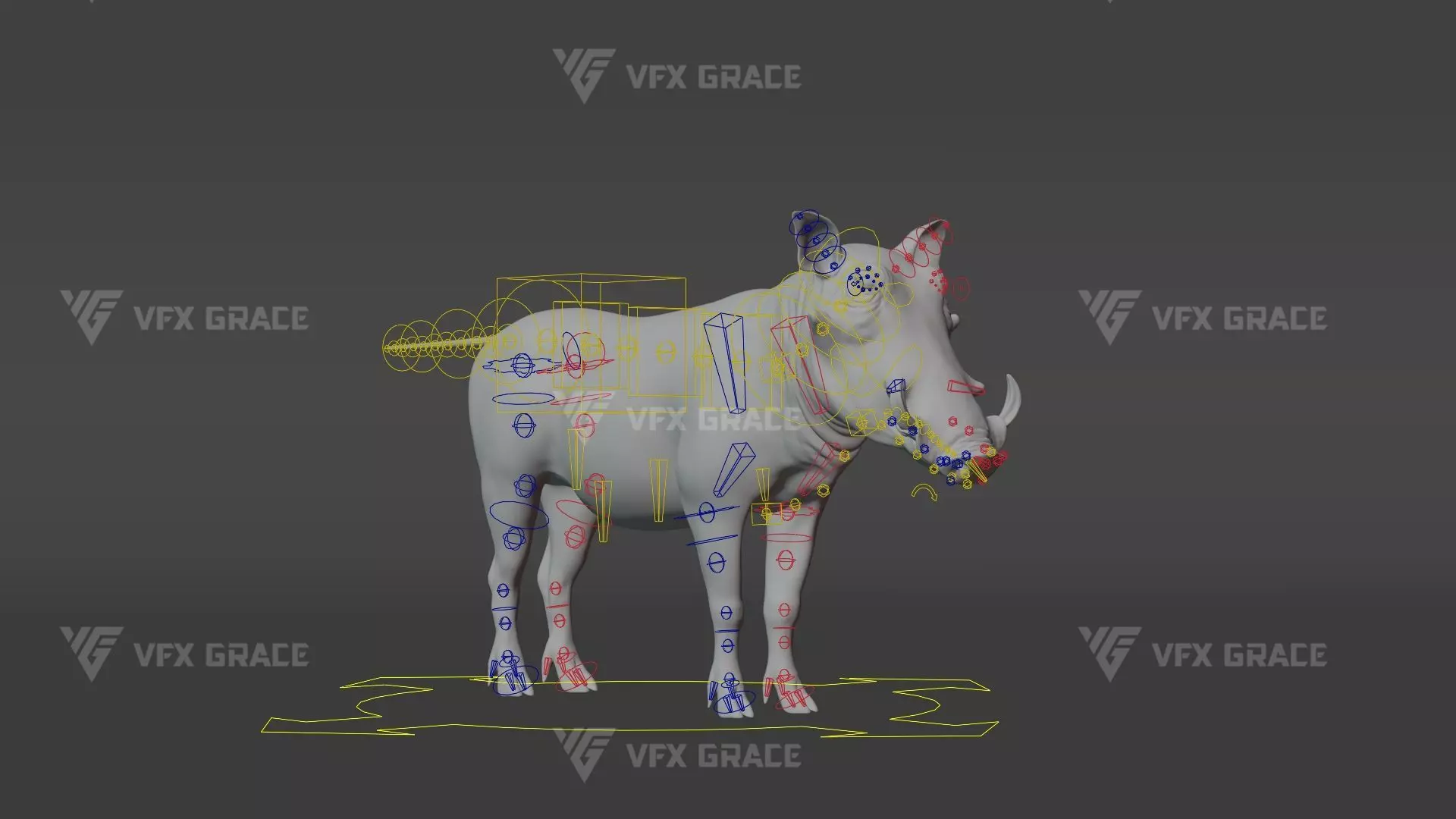 Warthog Animation  Blender 3D Model 3D model_15