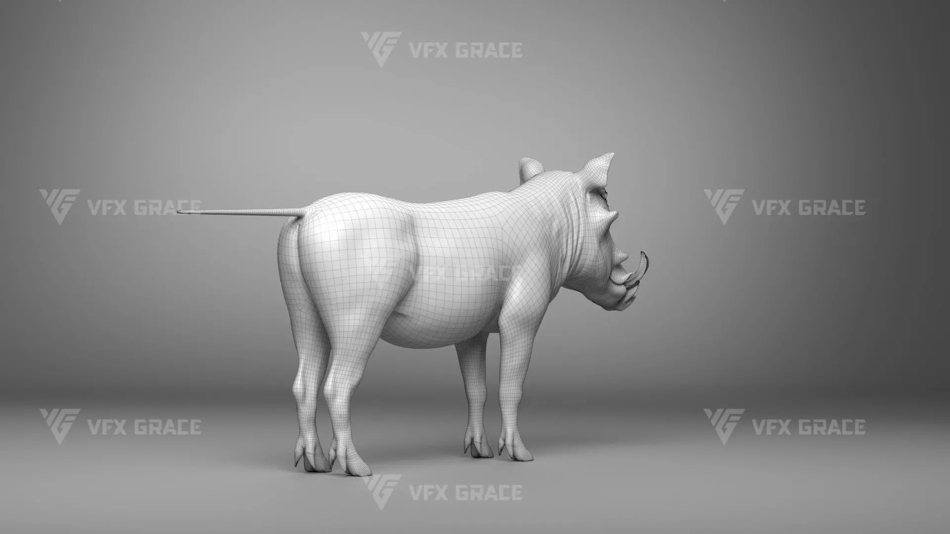 Warthog Animation  Blender 3D Model 3D model_24