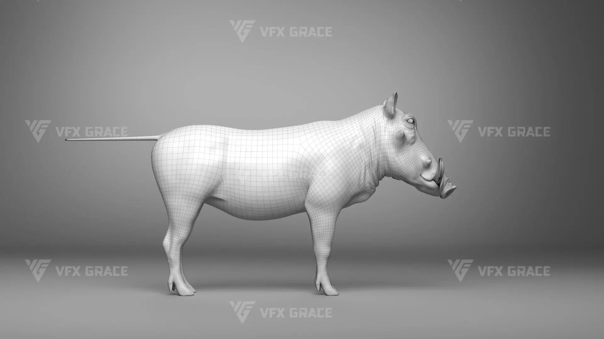 Warthog Animation  Blender 3D Model 3D model_23