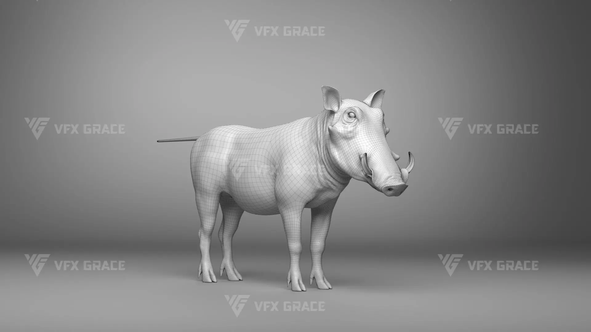 Warthog Animation  Blender 3D Model 3D model_22