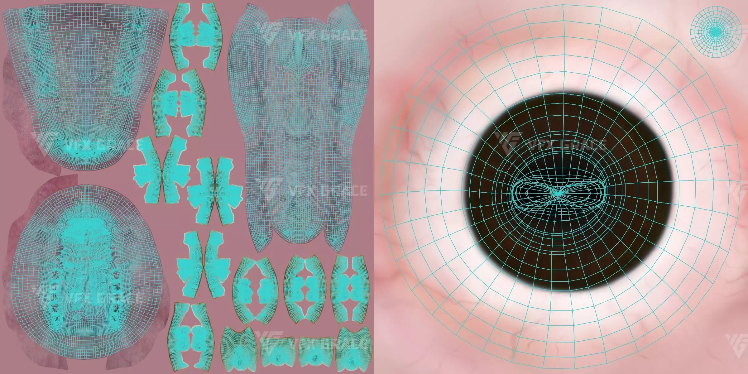 Warthog Animation  Blender 3D Model 3D model_20