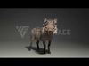 Warthog Animation  Blender 3D Model 3D model_4
