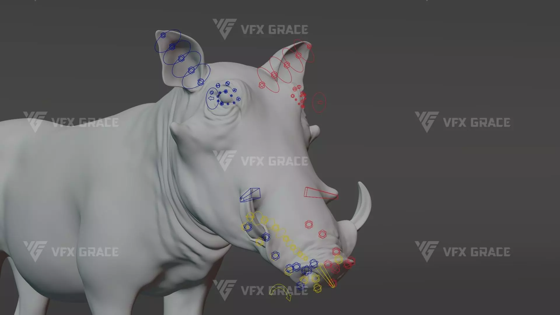 Warthog Animation  Blender 3D Model 3D model_16