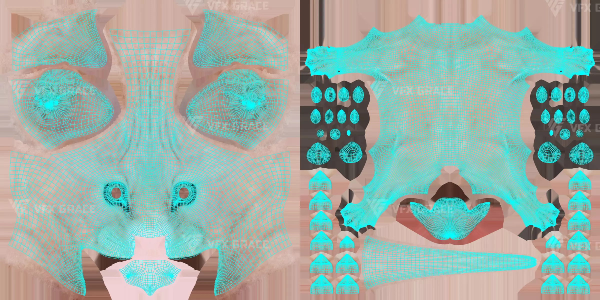 Tabby Cat White Animation Blender 3D Model 3D model_21