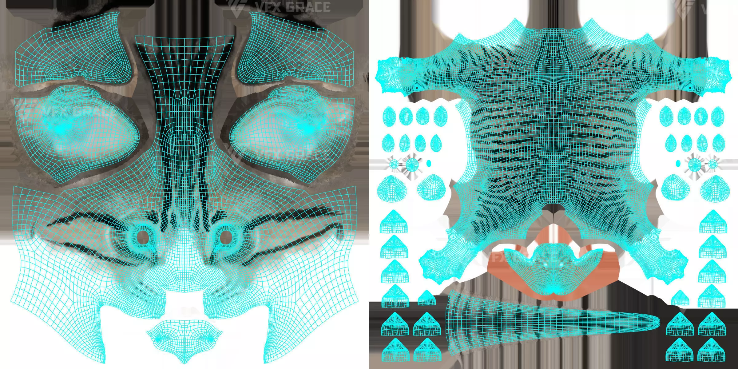 Tabby Cat White Animation Blender 3D Model 3D model_20