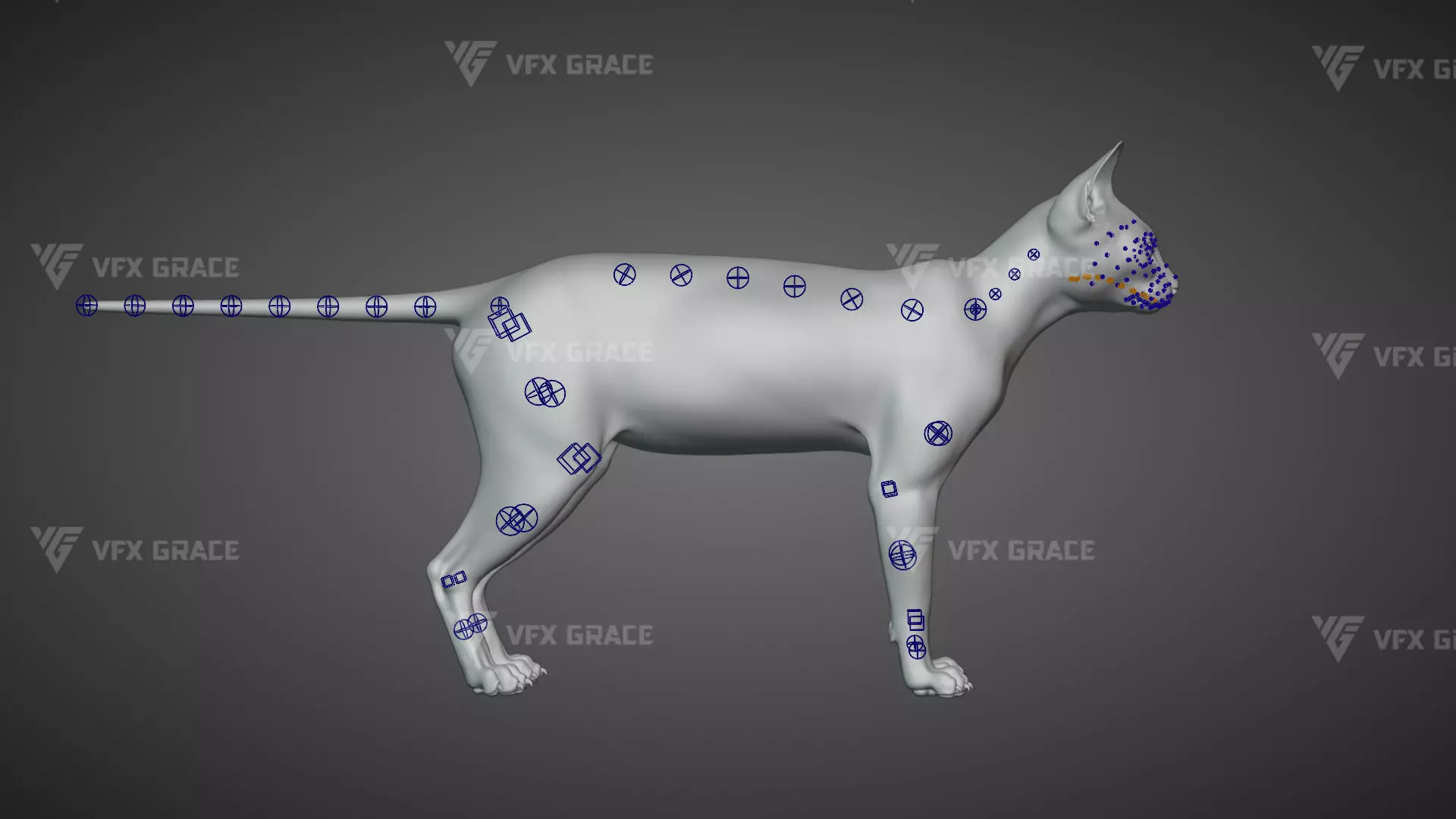 Tabby Cat White Animation Blender 3D Model 3D model_17