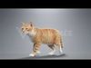 Orange white cat Animation  Blender 3D Model 3D model_3