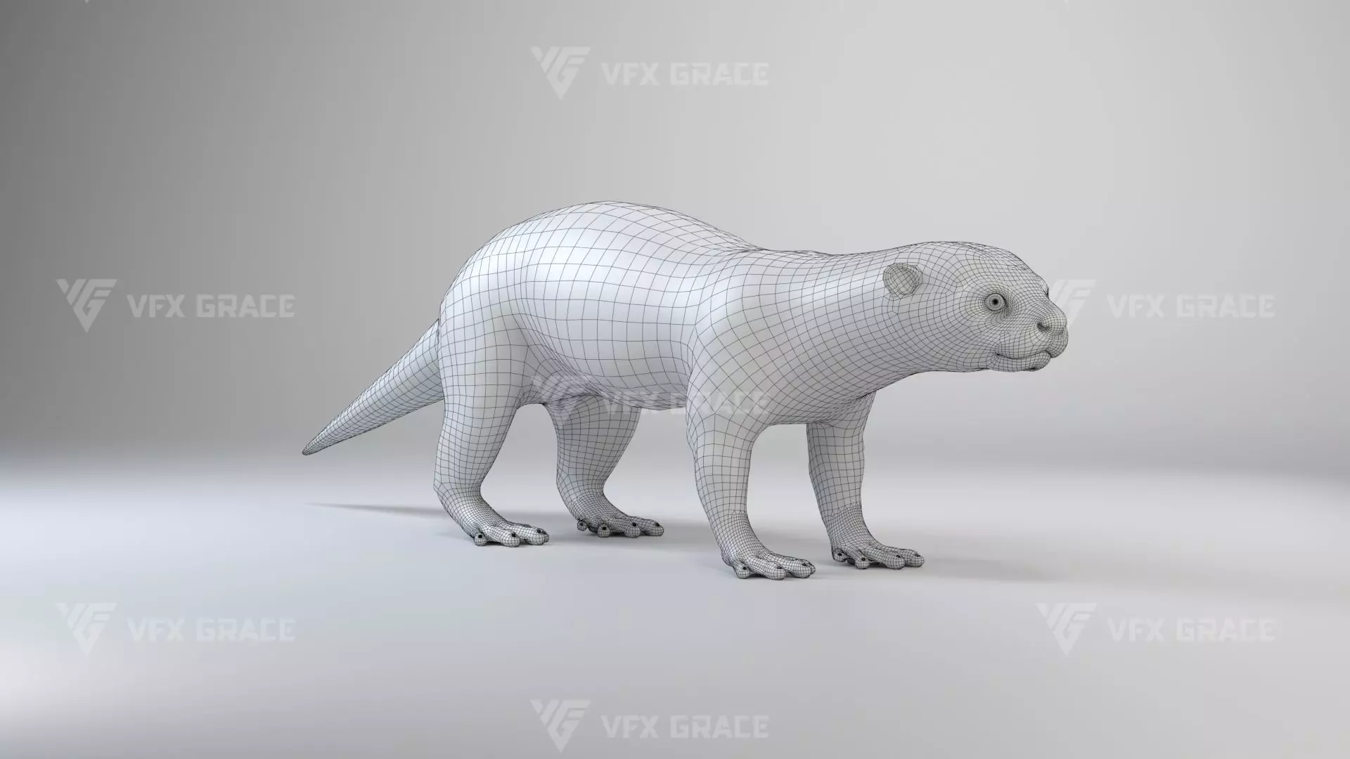 Lutra Animation Blender 3D Model 3D model_19